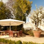 Exterior shot of the gardens at Mercure Chester Abbots Well Hotel, patio seating area