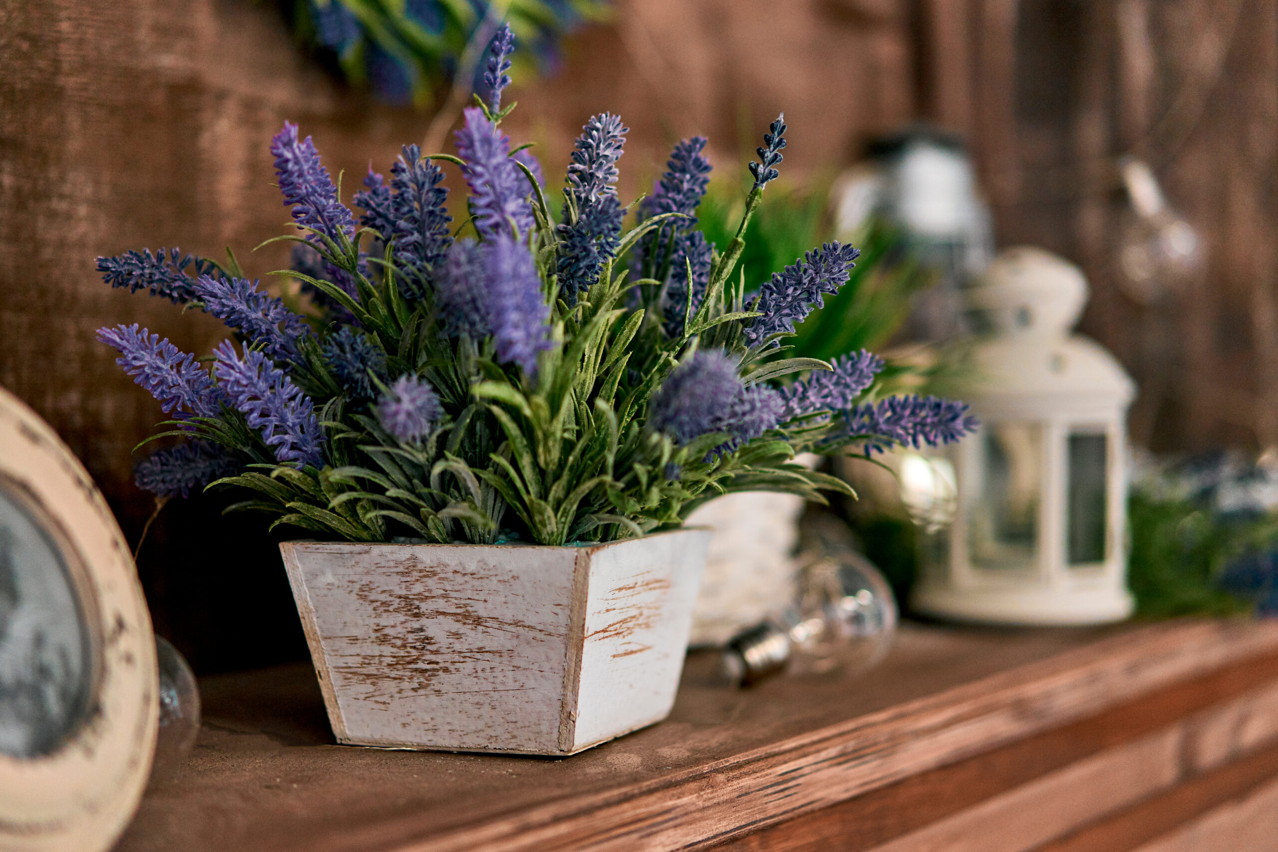Pot,Of,Lavender,On,The,Shelf